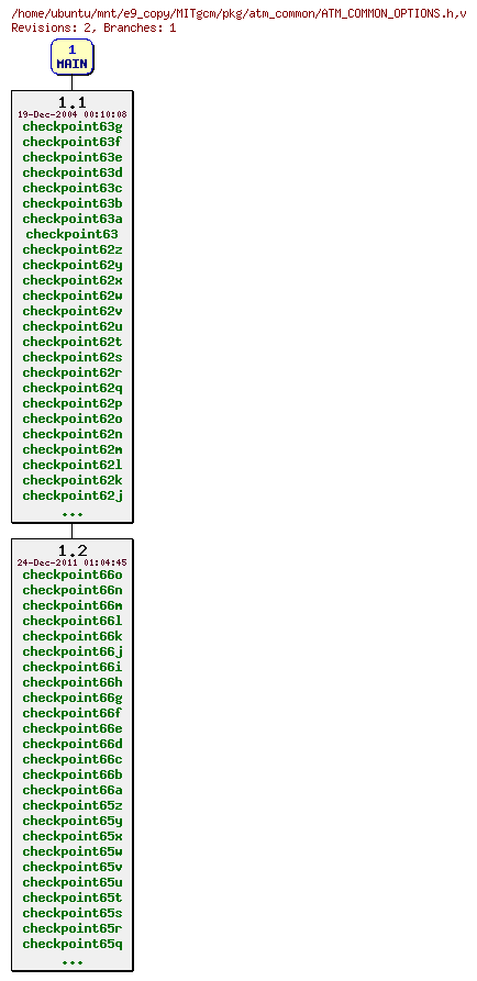Revisions of MITgcm/pkg/atm_common/ATM_COMMON_OPTIONS.h