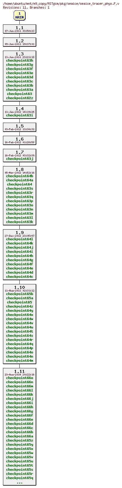 Revisions of MITgcm/pkg/seaice/seaice_tracer_phys.F