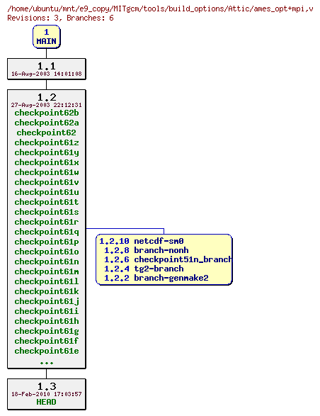 Revisions of MITgcm/tools/build_options/ames_opt+mpi