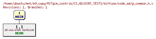 Revisions of MITgcm_contrib/CS_ADJOINT_TESTS/diffuse/code_ad/g_common.h