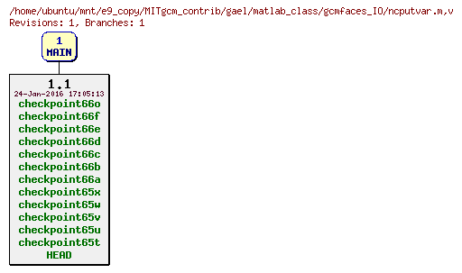 Revisions of MITgcm_contrib/gael/matlab_class/gcmfaces_IO/ncputvar.m