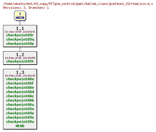 Revisions of MITgcm_contrib/gael/matlab_class/gcmfaces_IO/read_bin.m